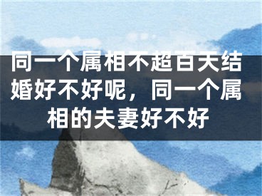 同一个属相不超百天结婚好不好呢,同一个属相的夫妻好不好