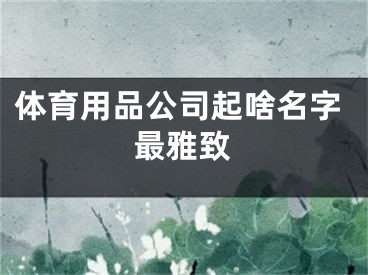 体育用品公司起啥名字最雅致