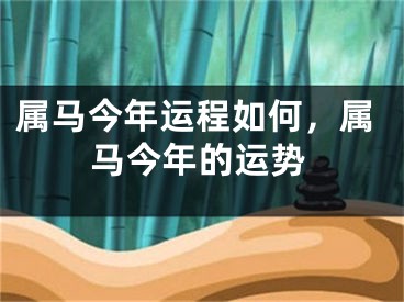 属马今年运程如何，属马今年的运势