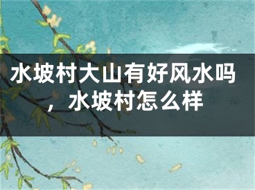 水坡村大山有好风水吗,水坡村怎么样