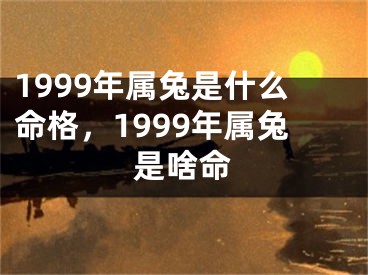 1999年属兔是什么命格,1999年属兔是啥命