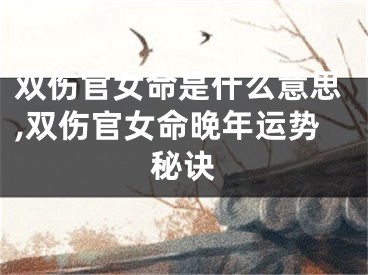 双伤官女命是什么意思,双伤官女命晚年运势秘诀