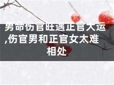 男命伤官旺遇正官大运,伤官男和正官女太难相处