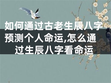 如何通过古老生辰八字预测个人命运,怎么通过生辰八字看命运