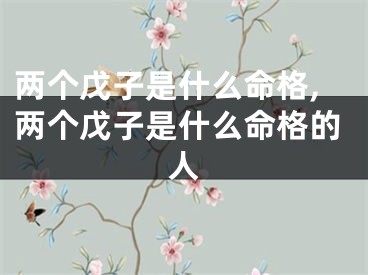 两个戊子是什么命格,两个戊子是什么命格的人