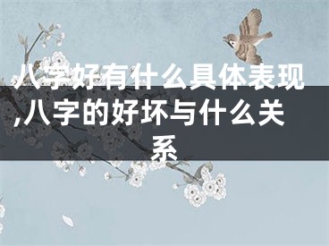 八字好有什么具体表现,八字的好坏与什么关系