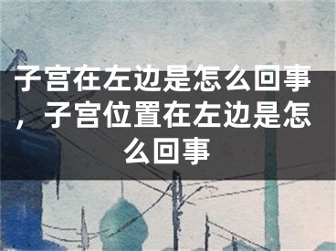 子宫在左边是怎么回事,子宫位置在左边是怎么回事