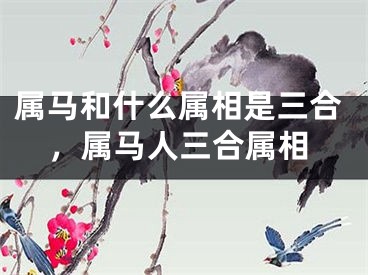 属马和什么属相是三合,属马人三合属相