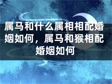 属马和什么属相相配婚姻如何,属马和猴相配婚姻如何