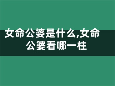 女命公婆是什么,女命公婆看哪一柱