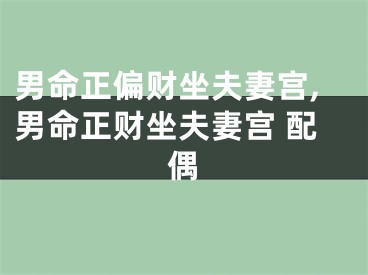 男命正偏财坐夫妻宫,男命正财坐夫妻宫 配偶
