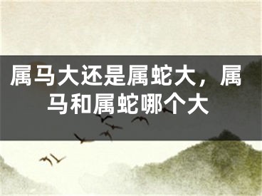 属马大还是属蛇大,属马和属蛇哪个大