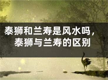 泰狮和兰寿是风水吗，泰狮与兰寿的区别