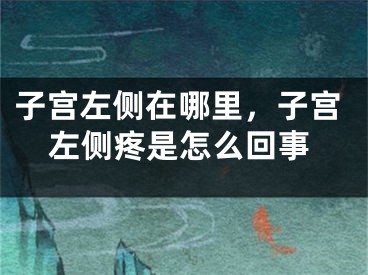 子宫左侧在哪里,子宫左侧疼是怎么回事