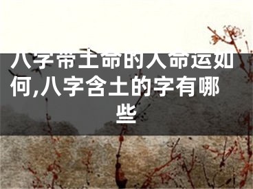 八字带土命的人命运如何,八字含土的字有哪些