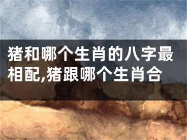 猪和哪个生肖的八字最相配,猪跟哪个生肖合