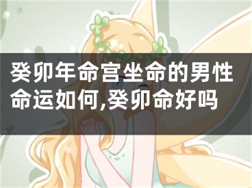 癸卯年命宫坐命的男性命运如何,癸卯命好吗
