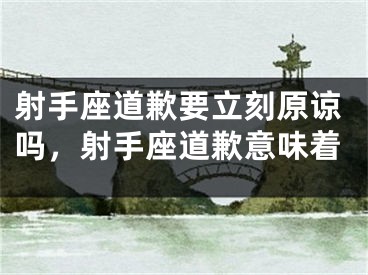 射手座道歉要立刻原谅吗，射手座道歉意味着