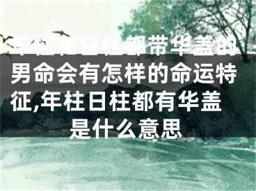 年柱和日柱都带华盖的男命会有怎样的命运特征,年柱日柱都有华盖是什么意思