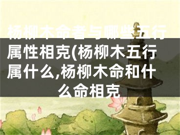 杨柳木命者与哪些五行属性相克(杨柳木五行属什么,杨柳木命和什么命相克