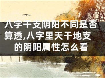 八字干支阴阳不同是否算透,八字里天干地支的阴阳属性怎么看