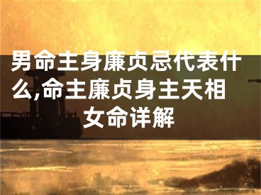男命主身廉贞忌代表什么,命主廉贞身主天相女命详解