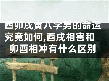 酉卯戌寅八字男的命运究竟如何,酉戌相害和卯酉相冲有什么区别