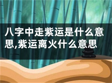 八字中走紫运是什么意思,紫运离火什么意思