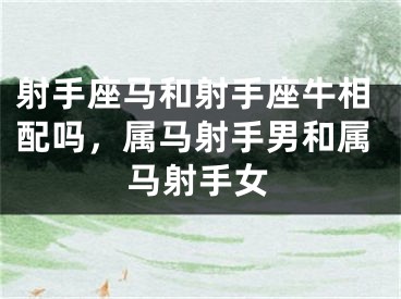 射手座马和射手座牛相配吗，属马射手男和属马射手女