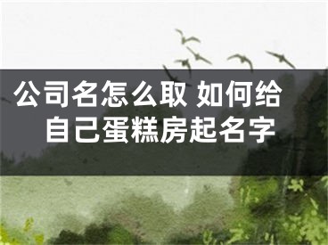 公司名怎么取 如何给自己蛋糕房起名字