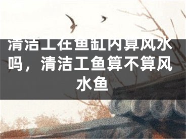 清洁工在鱼缸内算风水吗，清洁工鱼算不算风水鱼