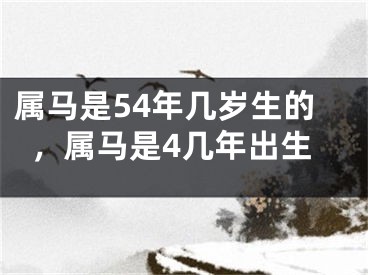 属马是54年几岁生的，属马是4几年出生