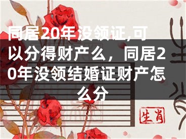 同居20年没领证,可以分得财产么，同居20年没领结婚证财产怎么分