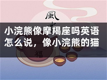 小浣熊像摩羯座吗英语怎么说，像小浣熊的猫