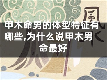 甲木命男的体型特征有哪些,为什么说甲木男命最好