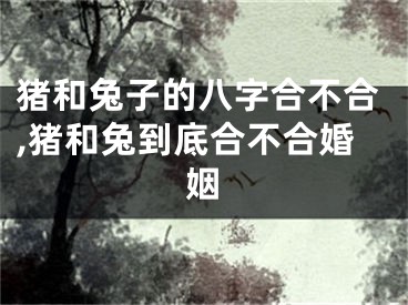 猪和兔子的八字合不合,猪和兔到底合不合婚姻