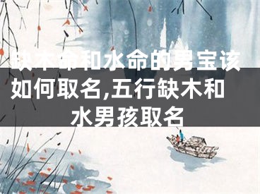 缺木命和水命的男宝该如何取名,五行缺木和水男孩取名