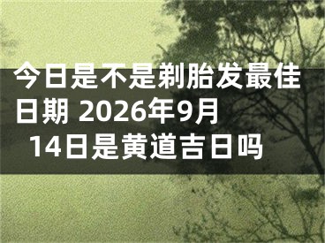 今日是不是剃胎发最佳日期 2026年9月14日是黄道吉日吗