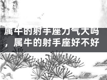 属牛的射手座力气大吗，属牛的射手座好不好