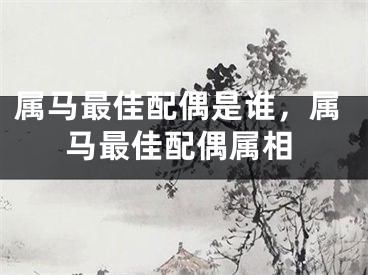 属马最佳配偶是谁,属马最佳配偶属相