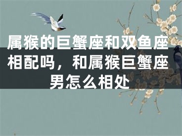 属猴的巨蟹座和双鱼座相配吗，和属猴巨蟹座男怎么相处