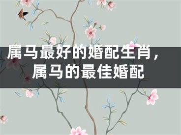 属马最好的婚配生肖，属马的最佳婚配