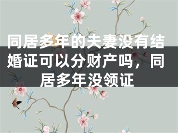 同居多年的夫妻没有结婚证可以分财产吗，同居多年没领证