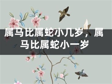 属马比属蛇小几岁，属马比属蛇小一岁