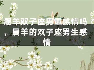 属羊双子座男重感情吗，属羊的双子座男生感情
