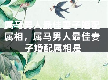 属马男人最佳妻子婚配属相,属马男人最佳妻子婚配属相是