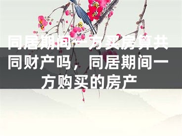 同居期间一方买房算共同财产吗,同居期间一方购买的房产
