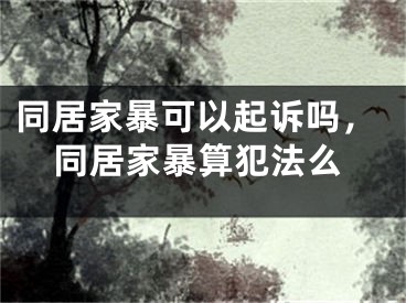 同居家暴可以起诉吗，同居家暴算犯法么