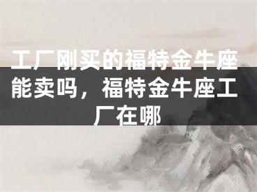 工厂刚买的福特金牛座能卖吗，福特金牛座工厂在哪