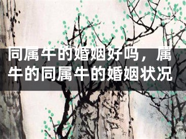 同属牛的婚姻好吗,属牛的同属牛的婚姻状况